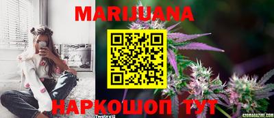 мдпв Лесосибирск