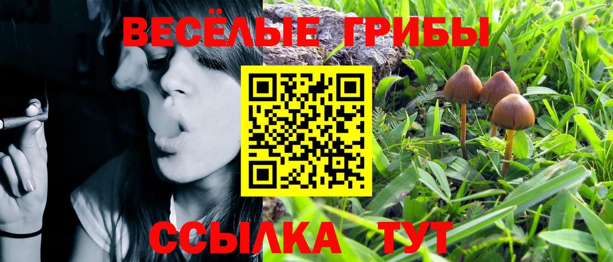 Галлюциногенные грибы мухоморы Тара